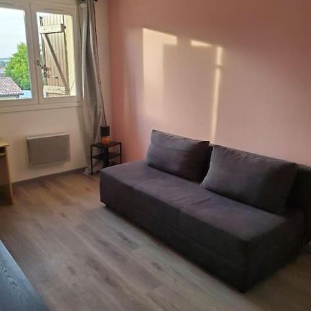 Appartement Moderne Et Equipe L'Isle Jourdain Bagian luar foto