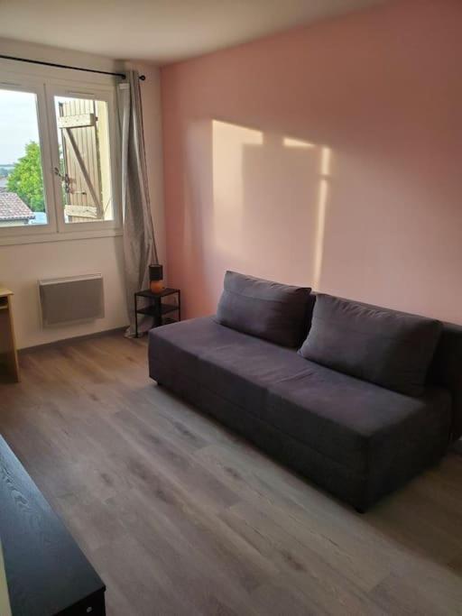 Appartement Moderne Et Equipe L'Isle Jourdain Bagian luar foto